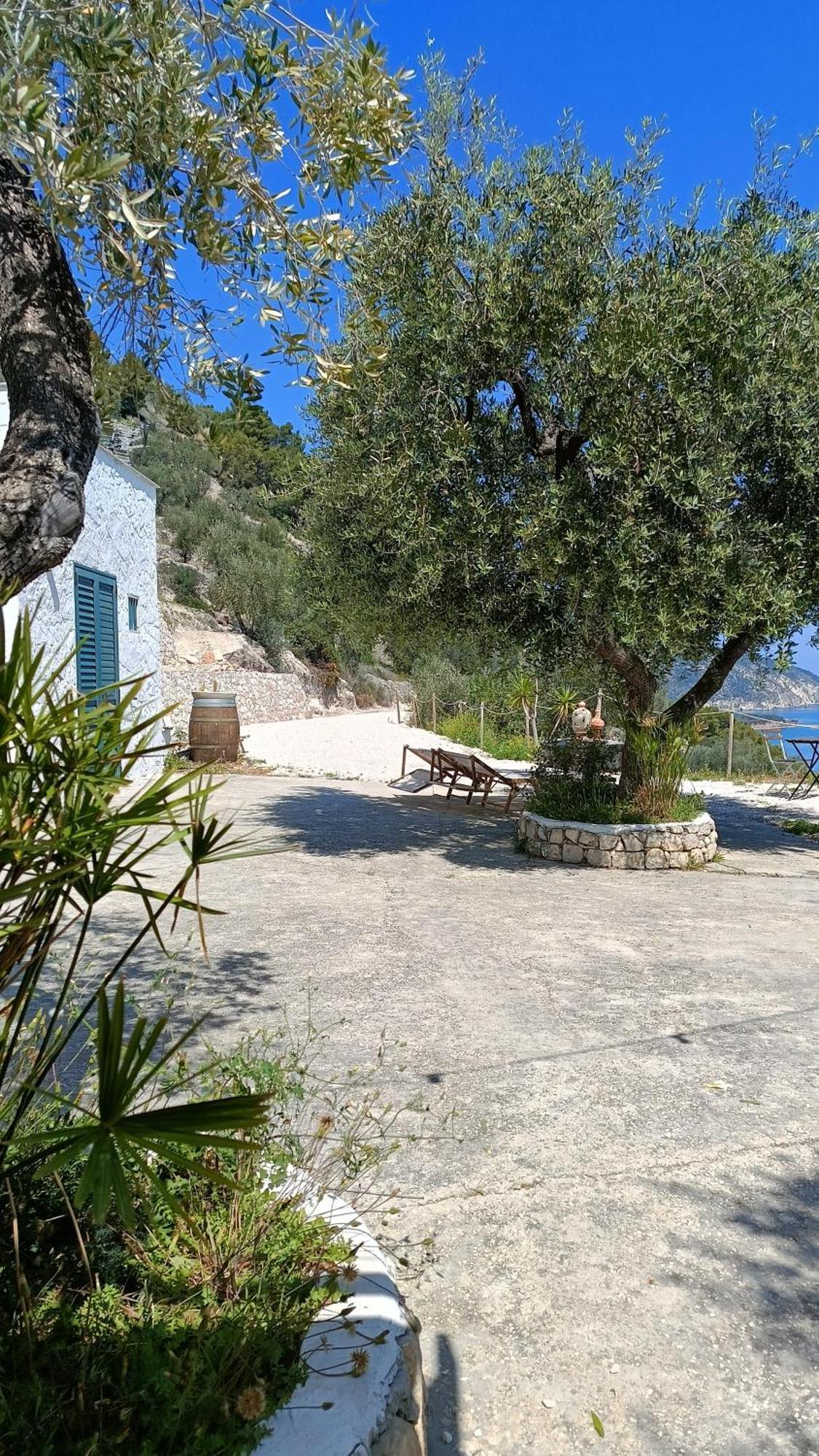 Petra Bianca Charming House Villa Mattinata Exterior photo